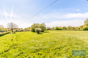 Photo 15- click for photo gallery